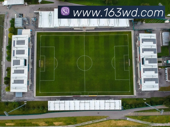 问鼎娱乐平台生态图